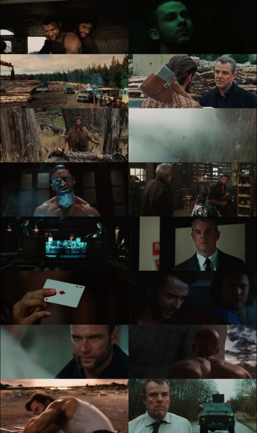 X-Men.4.Origins.Wolverine.2009.1080p.BluRay.Hindi.English.DD.5.1.x264.ESubs_s.jpg