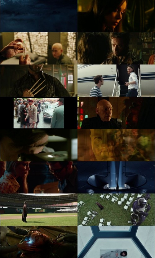 X-Men.Days.of.Future.Past.2014.1080p.BluRay.Hindi.English.DD.5.1.x264.ESubs_s.jpg