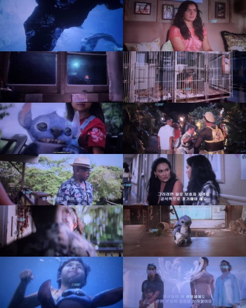www.FiberMovies.com---Lilo.and.Stitch.2025.1080p.HDTS.Hindi.Celan.DD.2.0.x264_s.jpg