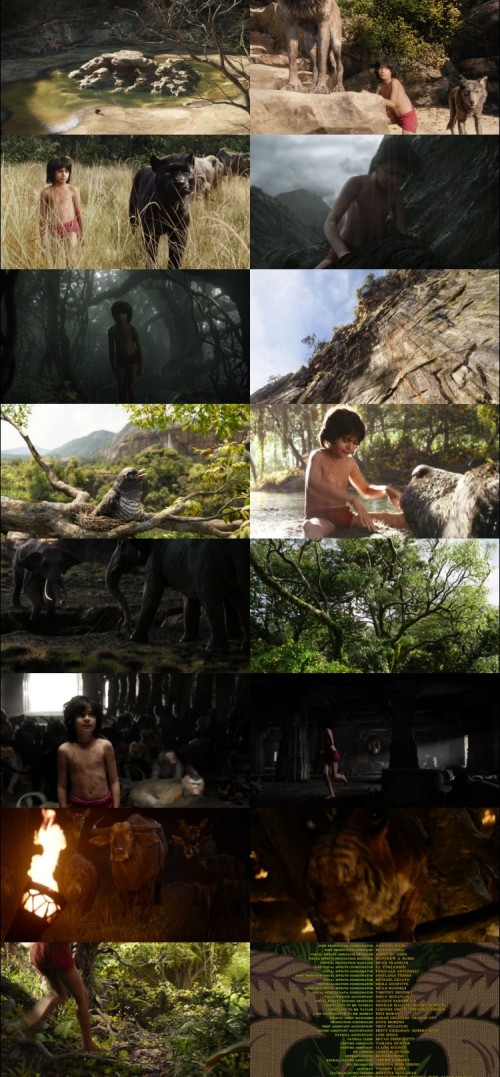 The.Jungle.Book.2016.1080p.BluRay.Hindi.English.DD.5.1.x264.ESubs_s.jpg