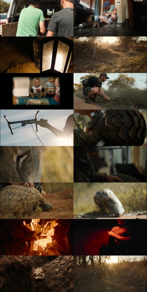 Pangolin.kulus.Journey.2025.1080p.WEB.HDRip.English.DD.5.1.x264.www.FiberMovies.com_s.jpg