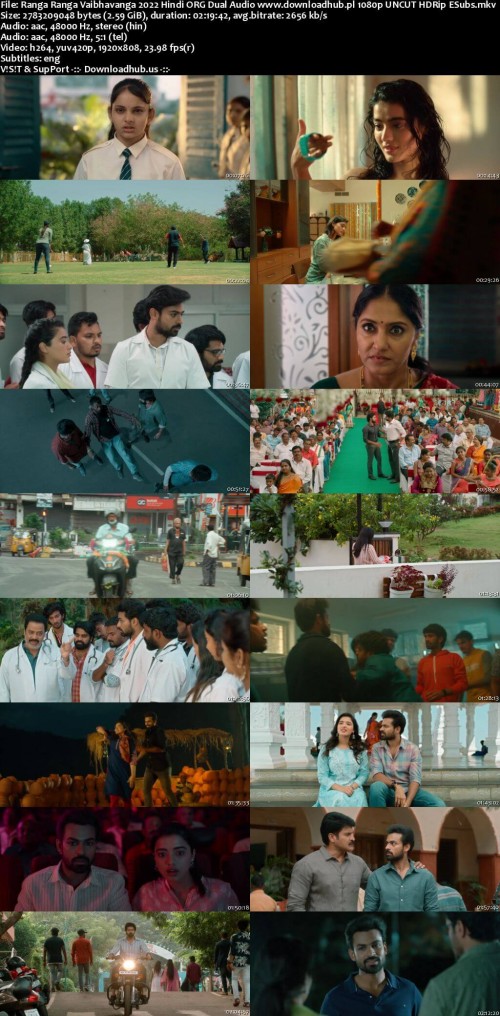 Ranga-Ranga-Vaibhavanga-2022-Hindi-ORG-Dual-Audio-www.downloadhub.pl-1080p-UNCUT-HDRip-ESubs_s.jpg