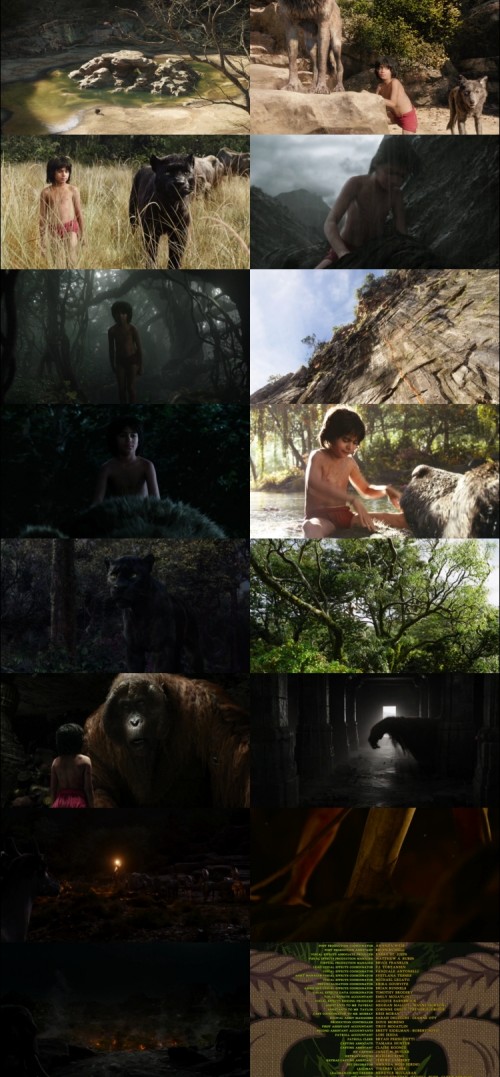 The.Jungle.Book.2016.1080p.BluRay.Hindi.English.DD.5.1.x264.ESubs_s.jpg