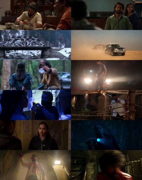 www.FiberMovies.com---HIT.3.The.Third.Case.2025.1080p.WEB.HDRip.Hindi.Multi.DD.5.1.x264.ESubs_s.jpg