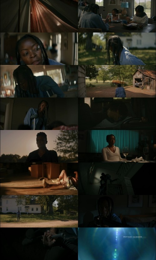 The.Woman.In.The.Yard.2025.1080p.WEB.HDRip.English.DD.5.1.x264.www.FiberMovies.com_s.jpg