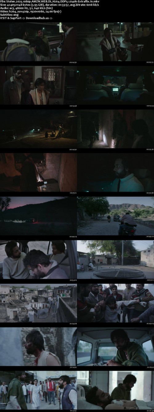Stolen.2025.1080p.AMZN.WEB.DL.H264.DDP5.1.640k-Extraflix.tv_s.jpg