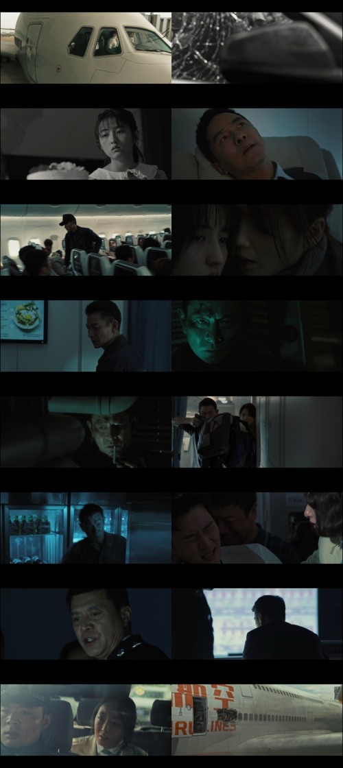 High-Forces-2024-Hindi-Dual-Audio-www.ExtraFlix.TV-1080p-Web-DL-ESubs-Untouch_s.jpg