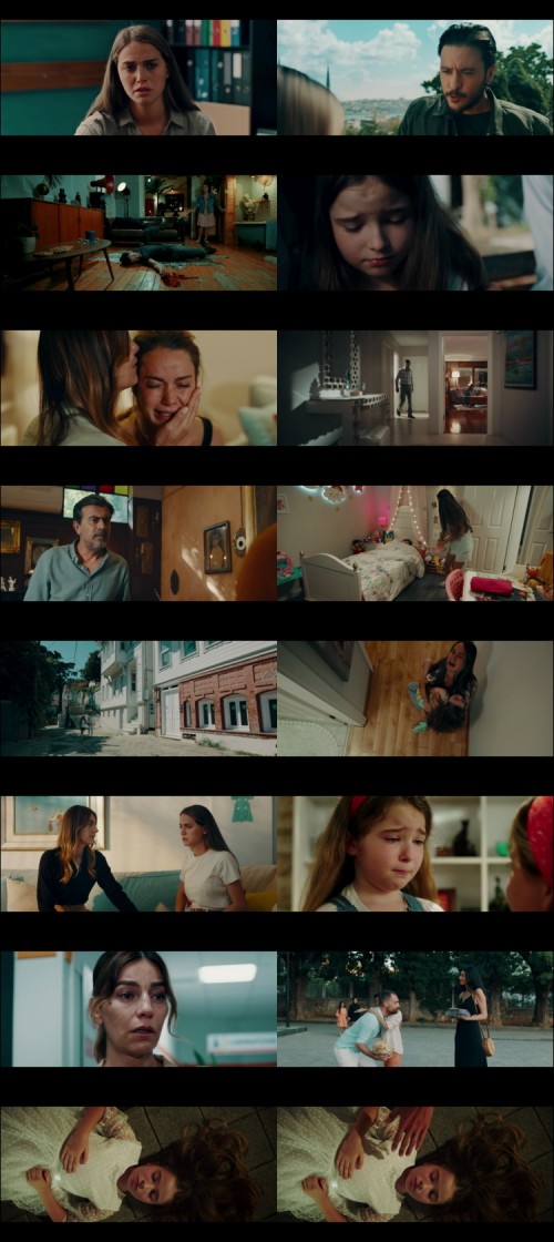 The-Last-Wish-2025-Hindi-Dual-Audio-www.ExtraFlix.TV-1080p-Web-DL-ESubs-Untouch_s.jpg