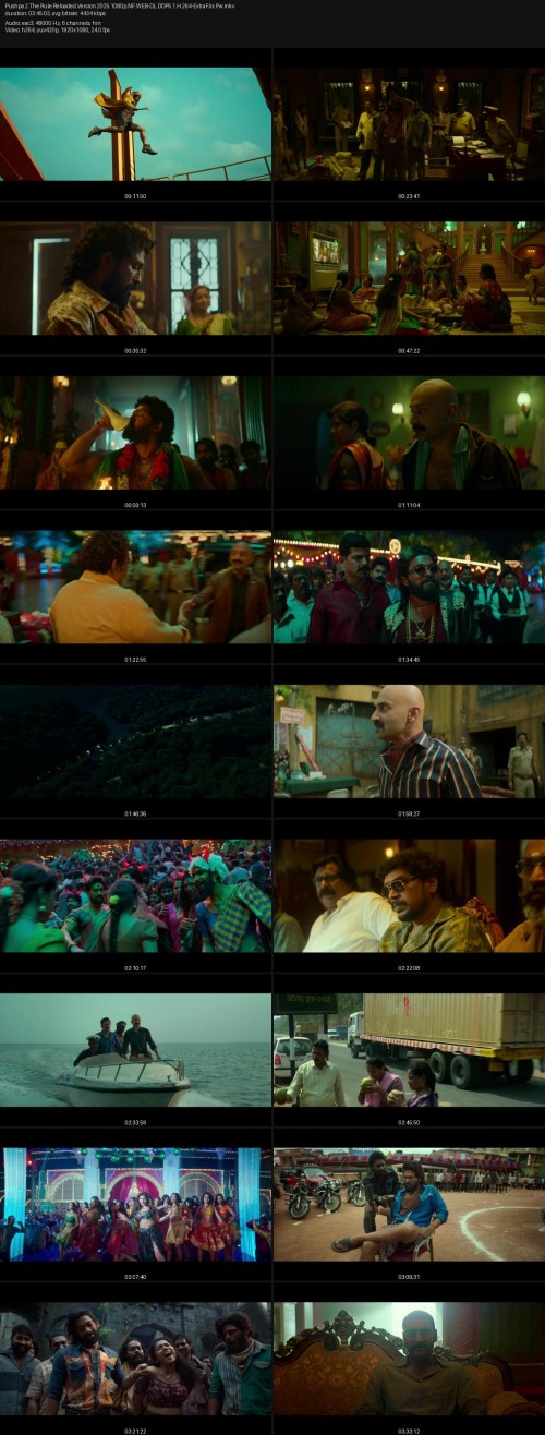 Pushpa.2.The.Rule.Reloaded.Version.2025.1080p.NF.WEB-DL.DDP5.1.H.264-ExtraFlix.Pw.jpg