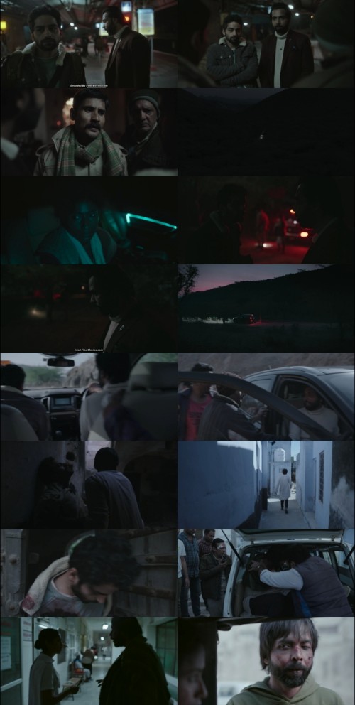 Stolen.2025.1080p.WEB.HDRip.Hindi.DD.5.1.x264.MSubs.www.FiberMovies.com_s.jpg