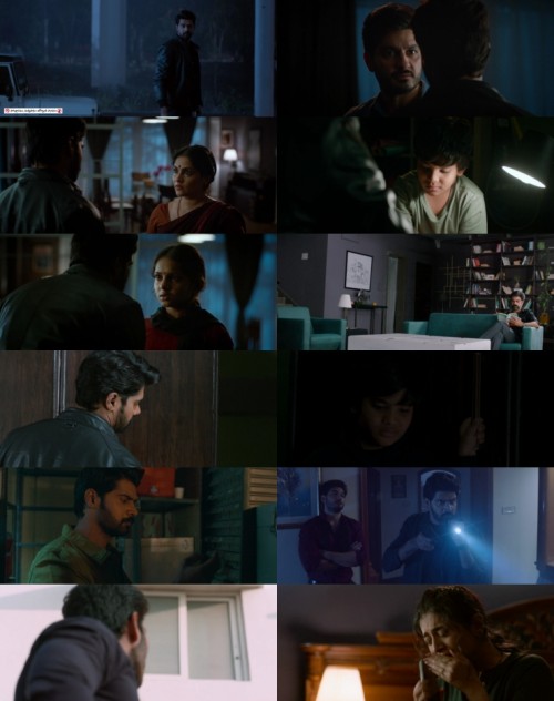 www.FiberMovies.com---Blind.Spot.2025.1080p.WEB.HDRip.Hindi.Multi.DD.5.1.x264.ESubs_s.jpg