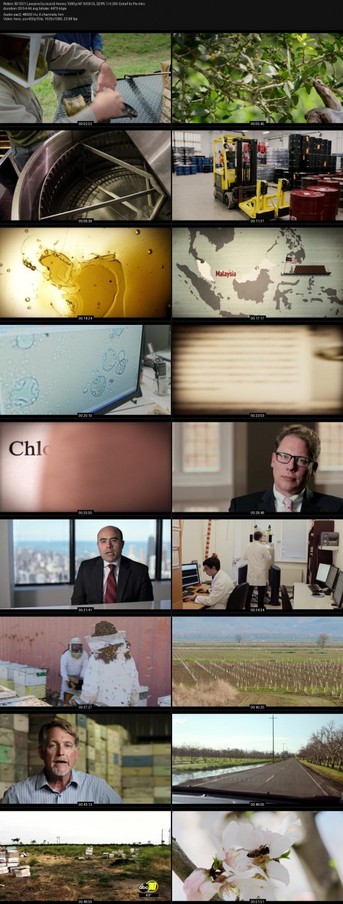 Rotten.S01E01.Lawyers.Guns.and.Honey.1080p.NF.WEB-DL.DDP5.1.H.265-ExtraFlix.Pw.jpg