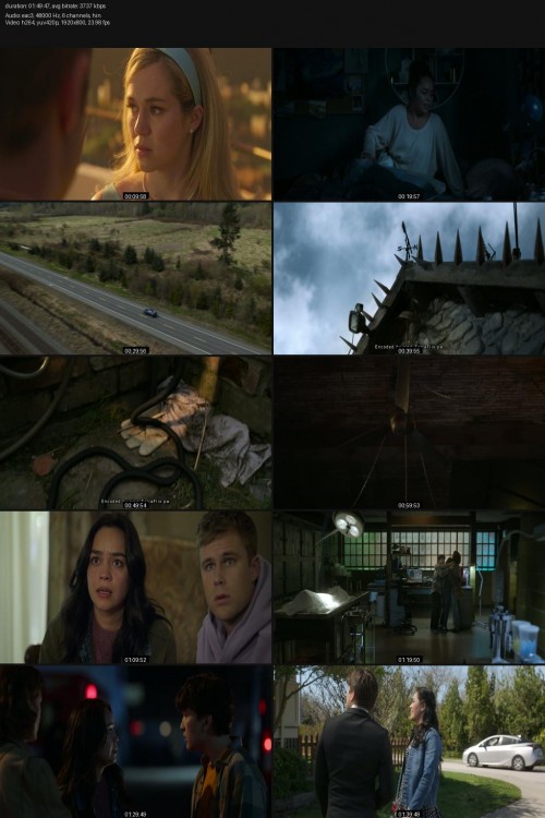 Final.Destination.Bloodlines.2025.1080P.Amzn.Web-Dl.Ddp5.1.H.264-Kyogo.jpg
