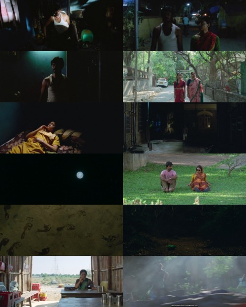 www.FiberMovies.com---Sister.Midnight.2024.1080p.WEB.HDRip.Hindi.DD.5.1.x264.ESubs_s.jpg