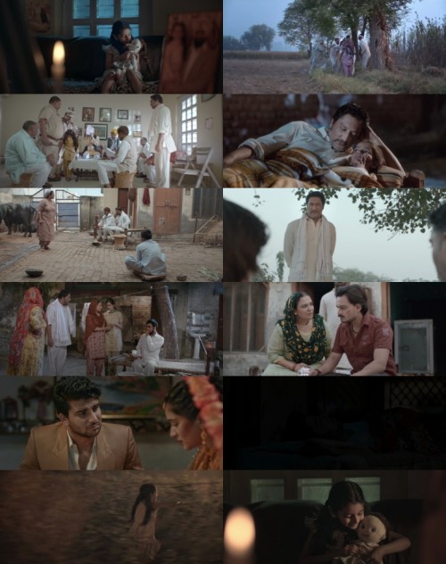 www.FiberMovies.com---The.Lost.Girl.2024.1080p.WEB.HDRip.Hindi.DD.5.1.x264.ESubs_s.jpg