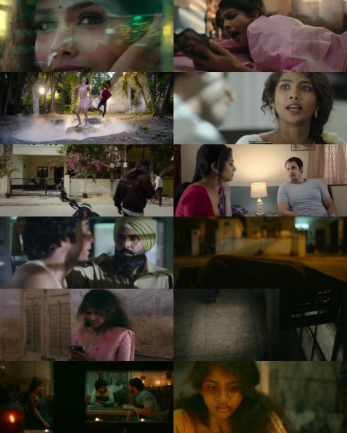 www.FiberMovies.com---Saaree.2025.1080p.WEB.HDRip.Hindi.Multi.DD.2.0.x264.ESubs_s.jpg