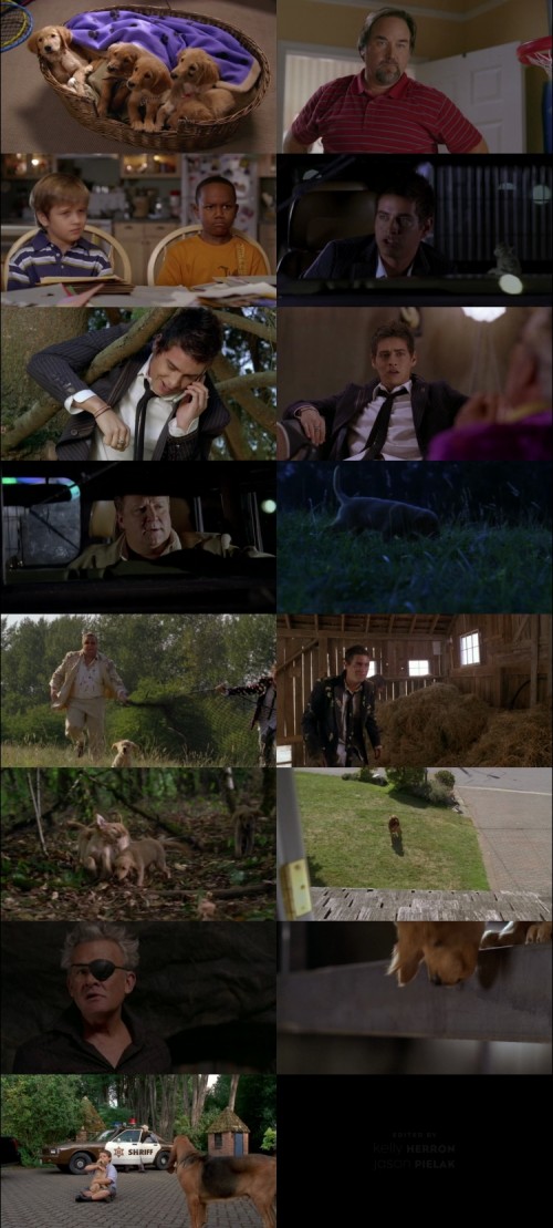 Air.Buddies.2006.720p.BluRay.Hindi.English.DD.2.0.x264.ESubs_s.jpg