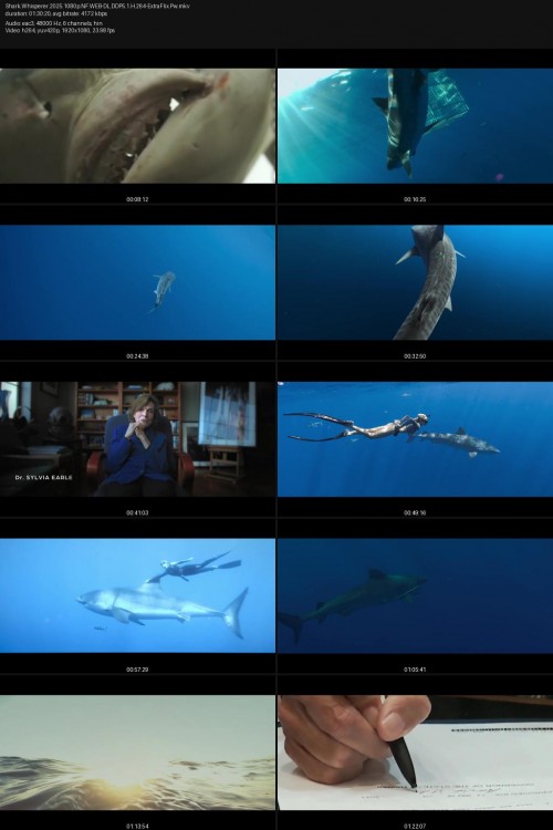 Shark.Whisperer.2025.1080p.NF.WEB-DL.DDP5.1.H.264-ExtraFlix.Pw.jpg