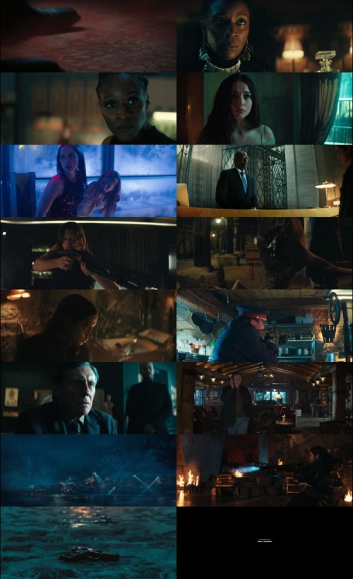 Ballerina-2025-Hindi-Clean-Dual-Audio-www.ExtraFlix.pw-1080p-Web-DL-ESubs-Untouch_s.jpg