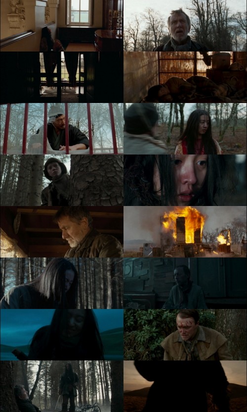 Tornado.2025.1080p.WEB.HDRip.English.DD.5.1.x264.MSubs.www.FiberMovies.com_s.jpg