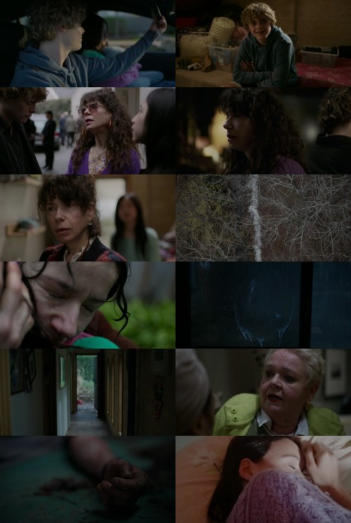 www.FiberMovies.com---Bring.Her.Back.2025.1080p.WEB.HDRip.English.DD.5.1.x264.ESubs_s.jpg
