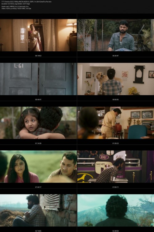777.Charlie.2022.1080p.AMZN.WEB-DL.DDP5.1.H.264-ExtraFlix.Pw.jpg