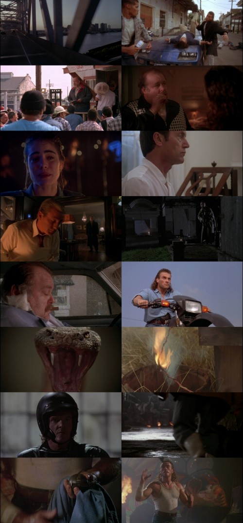 Hard-Target-1993-UNRATED-BluRay-1080p-Hindi-English-DD-5.1-7GB-x264-ESub---mkvCinemas-Telly_s.jpg