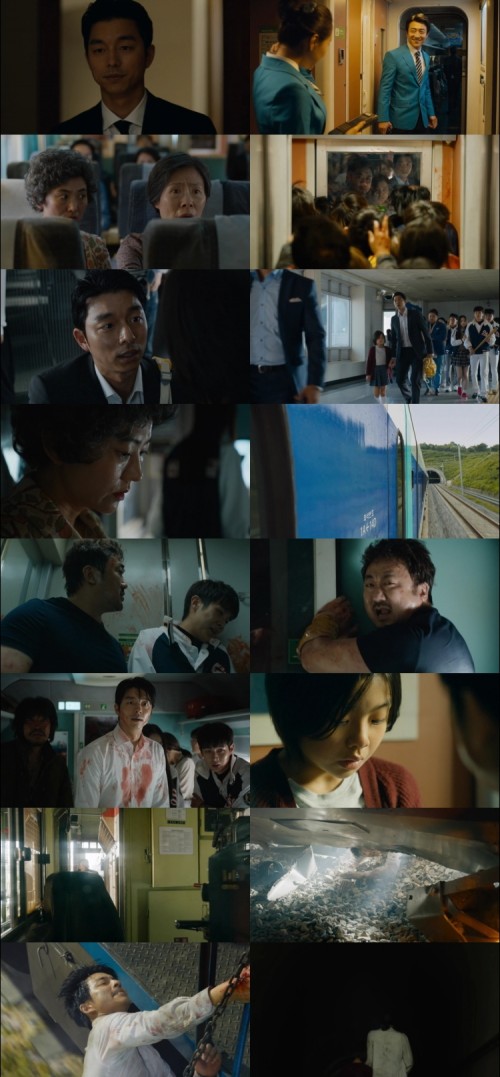 Train-to-Busan-2016-BluRay-1080p-Hindi-English-AC3-5.1-x264-ESub---mkvCinemas-1080_s.jpg