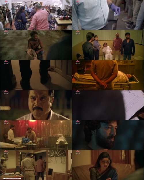 www.FiberMovies.com---The.Smile.Man.2024.1080p.HDRip.Hindi.DD.2.0.x264.ESubs_s.jpg