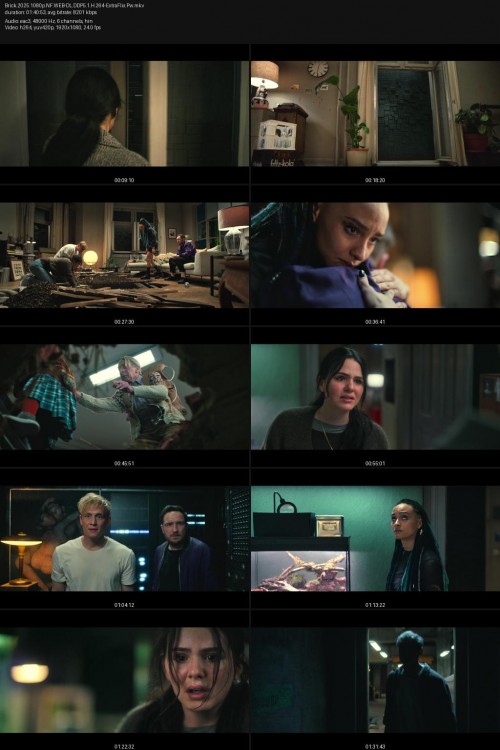 Brick.2025.1080p.NF.WEB-DL.DDP5.1.H.264-ExtraFlix.Pw.jpg