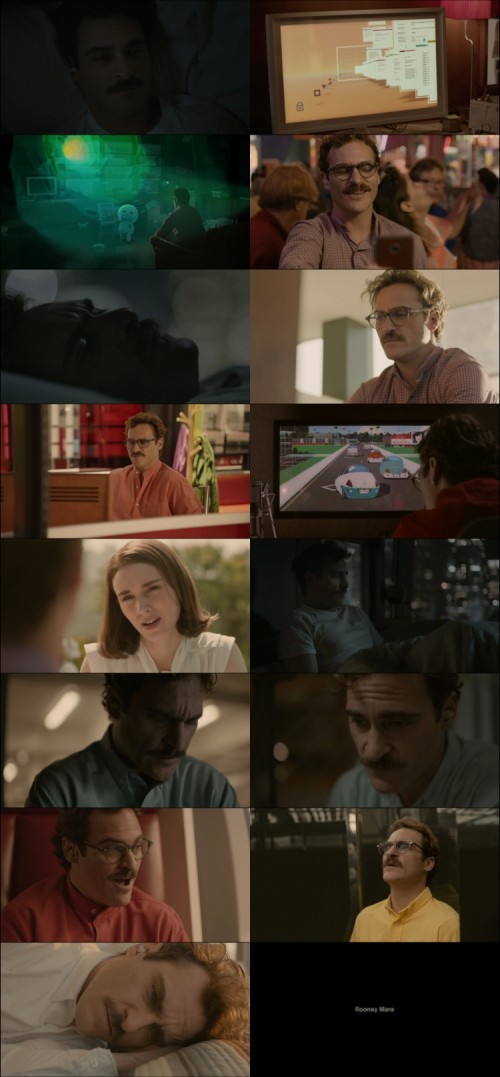 Her-2013-BluRay-1080p-Hindi-2.0--English-5.1-AC3-x264-ESub---mkvCinemas-Telly-1_s.jpg