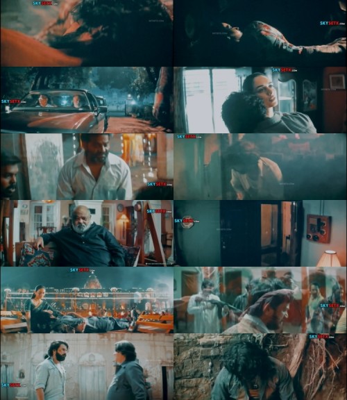 www.FiberMovies.com---Maalik.2025.1080p.HDTS.Hindi.DD.2.0.x264_s.jpg
