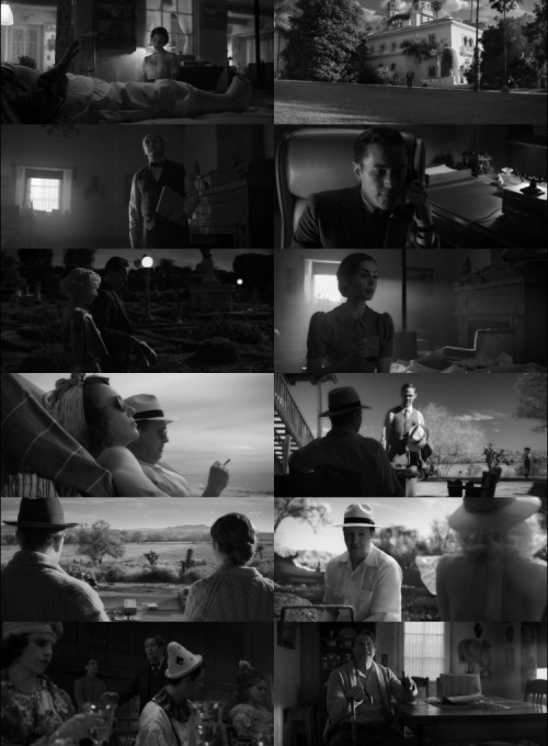 Mank.2020.1080p.WEB.DL.Hindi.English.DD.5.1.x264.ESubs_s.jpg