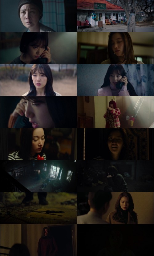 The.Call.2020.1080p.Web-DL.Hindi.English.DD.5.1.x264.ESubs_s.jpg