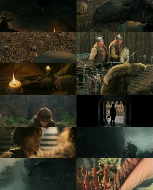 www.FiberMovies.com---How.to.Train.Your.Dragon.2025.1080p.WEB.HDRip.Hindi.Dual.DD.5.1.x264.ESubs_s.jpg