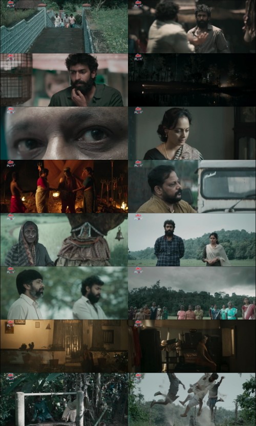Pepe-2024-Hindi-www.ExtraFlix.pw-720p-HDRip-x264_s.jpg
