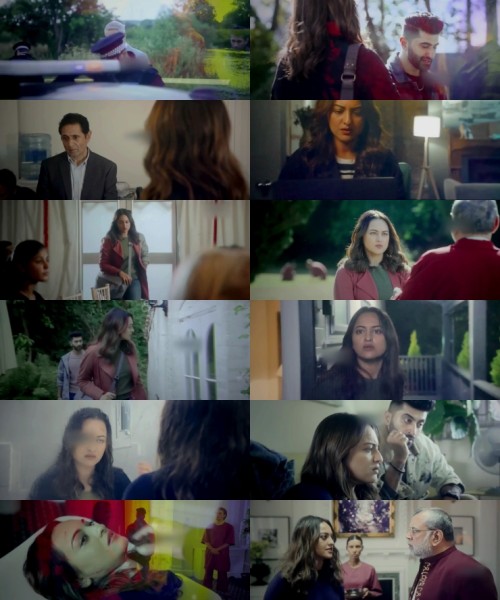 www.FiberMovies.com---Nikita.Roy.2025.NO.ADS.1080p.Pre.HD.Hindi.DD.2.0.x264_s.jpg
