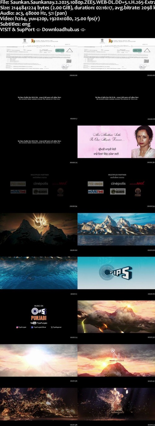 Saunkan.Saunkanay.2.2025.1080p.ZEE5.WEB-DL.DD5.1.H.265-Extraflix.pw_s.jpg