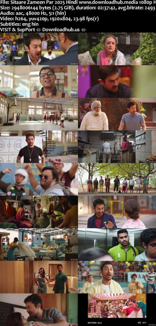 Sitaare-Zameen-Par-2025-Hindi-www.downloadhub.media-1080p-HDRip-ESubs_s.jpg