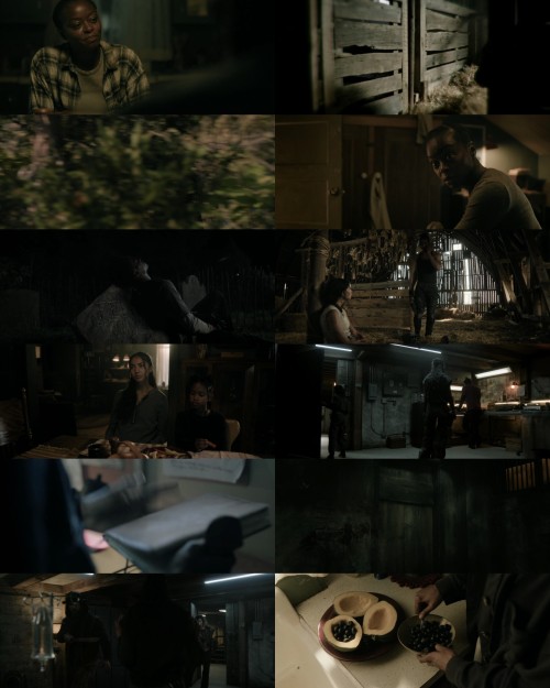 www.All4Movies.yoga---40.Acres.2024.1080p.WEB.HDRip.English.DD.5.1.x264.ESubs_s.jpg