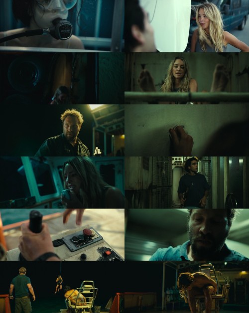 www.All4Movies.yoga---Dangerous.Animals.2025.1080p.WEB.HDRip.English.DD.5.1.x264.ESubs_s.jpg