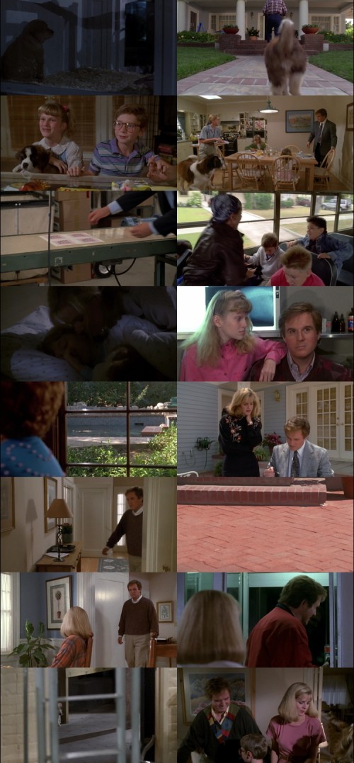 Beethoven.1992.1080p.BluRay.Hindi.English.DD.2.0.x264.ESubs_s.jpg