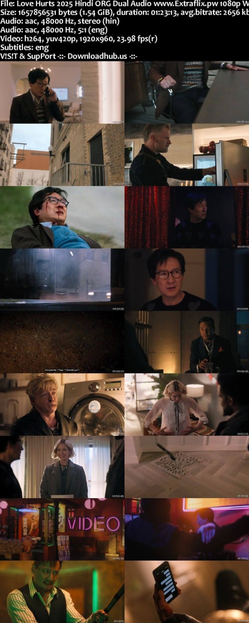 Love-Hurts-2025-Hindi-ORG-Dual-Audio-www.Extraflix.pw-1080p-Web-DL-ESubs_s.jpg
