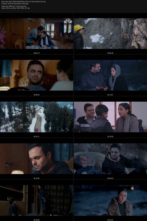 Red.Letter.2025.1080p.SM.WEB-DL.AAC2.0.H.264-ExtraFlix.Pw.jpg