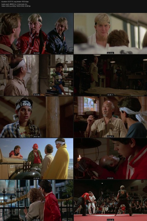 The-Karate-Kid-1984-1080p-BluRay-Hindi-DDP-2.0-English-DDP5.1-H.264-ESubs-ExtraFlix.Pw.jpg