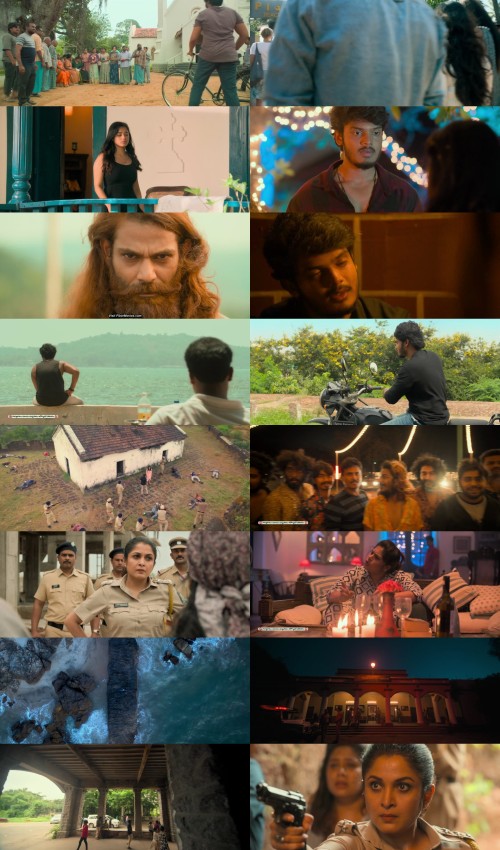 www.FiberMovies.com---Romantic.2021.UnCut.1080p.WEB.HDRip.Hindi.ORG.Dual.DD.5.1.x264.ESubs_s.jpg