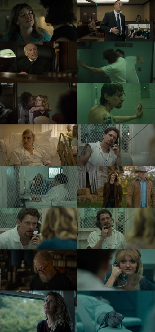 Trial.by.Fire.2018.1080p.WEB-DL.Hindi.English.DD.5.1.x264.ESubs_s.jpg