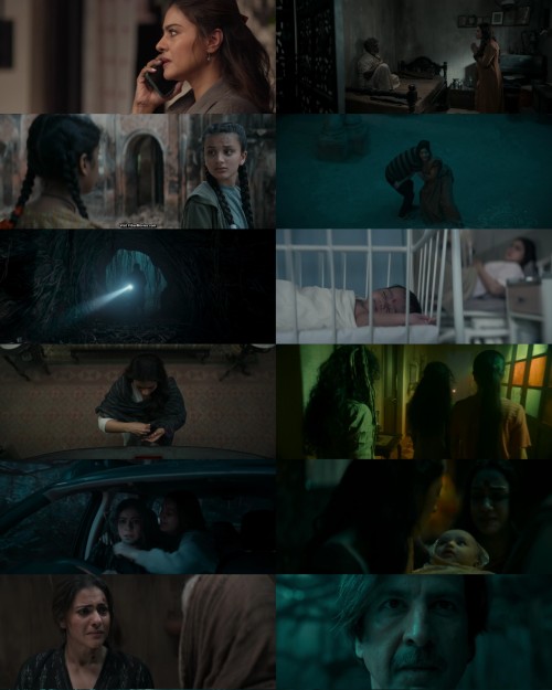 www.FiberMovies.com---Maa.2025.1080p.WEB.HDRip.Hindi.DD.5.1.x264.ESubs_s.jpg