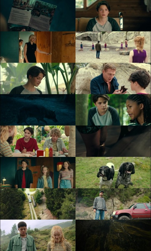 Woodwalkers.2024.1080p.BluRay.Hindi.English.DD.2.0.x264.ESubs_s.jpg