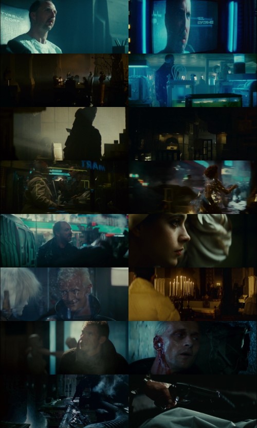 Blade.Runner.1982.1080p.BluRay.Hindi.English.DD.2.0.x264.ESubs_s.jpg